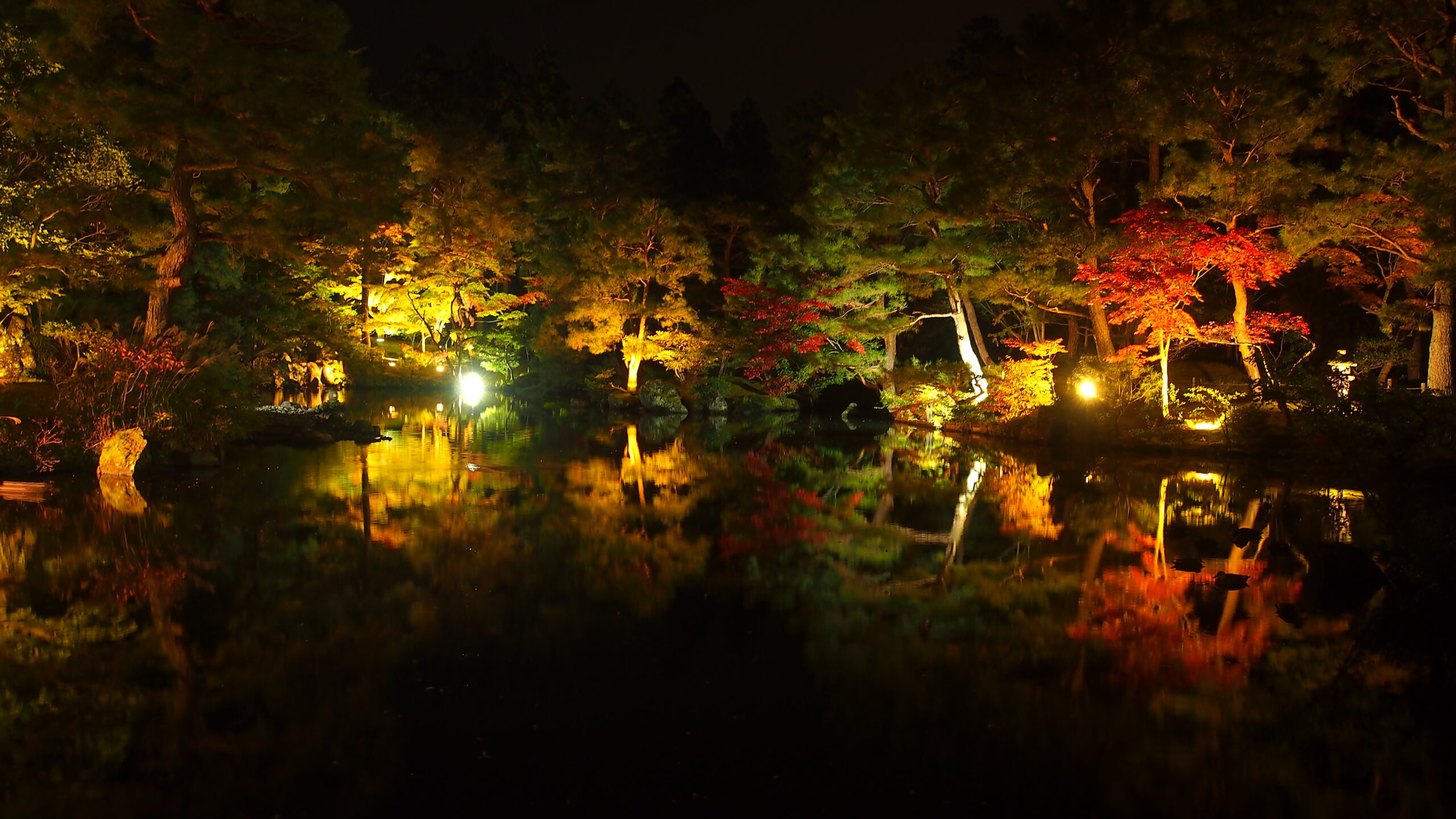 清水園　庭園ライトアップのご案内